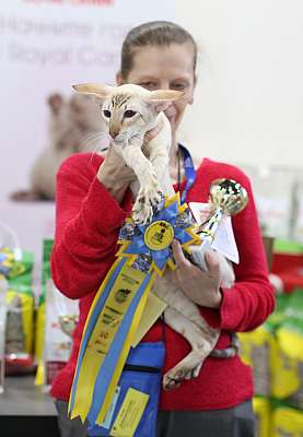 �������� ����� 11-12 ������ 2015 WCF-����� 10-202-169A5357 copy.jpg